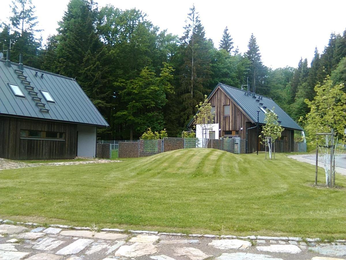 Apartmany Zlaty Hamr Svoboda nad Upou Exterior photo